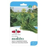 ราคา ผักกาดกวางตุ้งดอกสองฝั่งโขง ศรแดง (1146694)