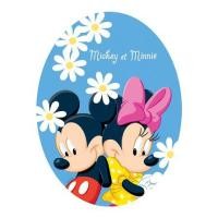 ราคา สติ๊กเกอร์ COVER STIXMATE MICKEY 20x27 ซม. (1149762)