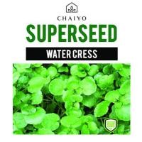 ราคา เมล็ดพันธุ์วอเตอร์เครส ชัยโย 450 เมล็ด (1150624)