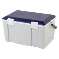 ราคา ถังแช่อเนกประสงค์ WELL WARE AG2520 20 ลิตร สีน้ำเงิน/เทา (1151447)