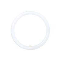 ราคา หลอด LED TOSHIBA MAGNETIC CIRCULAR 20 วัตต์ DAYLIGHT G10q (1152372)