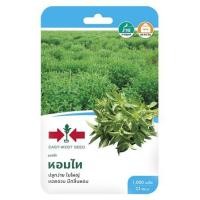 ราคา แมงลัก หอมไท ศรแดง (1153636)