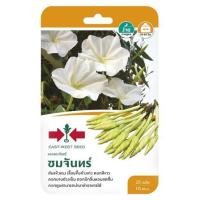 ราคา เมล็ดพันธุ์ดอกพระจันทร์ ชมจันทร์ ศรแดง (1153736)