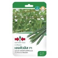 ราคา เมล็ดพันธุ์บวบเหลี่ยม F1 เฮอคิวลิส (1154054)