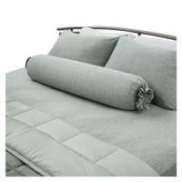 ราคา ชุดผ้าปูที่นอน 6 ฟุต 5 ชิ้น KOOLTEC COOLING JS สีเขียวมิ้นท์ (1156251)