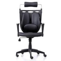 Ergotrend เก้าอี้เพื่อสุขภาพ รุ่น Dual NL-05BPP