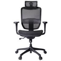 Ergotrend เก้าอี้เพื่อสุขภาพ รุ่น ERGO-JOY-PRO
