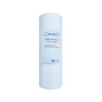 ราคา ไส้กรอง CAMARCIO PP 10 4.5 นิ้ว (1158198)