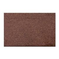 ราคา พรม PRAW ENTRANCE 50x75 ซม. สีน้ำตาลเข้ม (1159267)