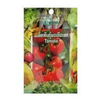 ราคา เมล็ดพันธุ์มะเขือเทศ กรีน การ์เด้น (1159589)
