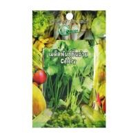 ราคา เมล็ดพันธุ์ขึ้นฉ่าย กรีน การ์เด้น (1159600)