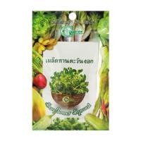 ราคา เมล็ดพันธุ์ทานตะวันงอก กรีน การ์เด้น (1159660)