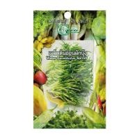 ราคา เมล็ดพันธุ์ ต้นอ่อนผักบุ้ง กรีน การ์เด้น (1159668)