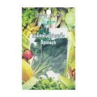 ราคา เมล็ดพันธุ์ปวยเล้ง กรีน การ์เด้น (1159684)