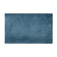 ราคา พรม PRAW ENTRANCE 50x75 ซม. สีน้ำเงินเข้ม (1160023)