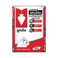 ราคา ซีเมนต์ฉาบบาง ลูกดิ่ง แดง CP015/B 20 กก. สีขาว (1169280)