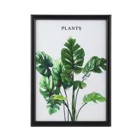 ราคา กรอบรูป PTS PLANTS A4 8.2X11.7 นิ้ว สีดำ (1171178)