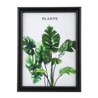 ราคา กรอบรูป PTS PLANTS 6x8 นิ้ว สีดำ (1171236)