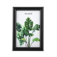 ราคา กรอบรูป PTS PLANTS 4x6 นิ้ว สีดำ (1171301)