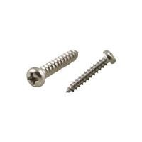 ราคา สกรูเกลียวปล่อย TP DEXZON 3.5X20 มม. 25 ตัว (1174077)
