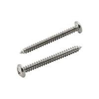 ราคา สกรูเกลียวปล่อย TP DEXZON 12X2 นิ้ว 25 ตัว (1174115)