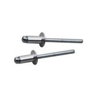 ราคา ตะปูยิงรีเวท DEXZON 6-3 100 ตัว (1174372)