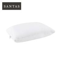 ราคา หมอนหนุน SANTAS HYBRID MEDIUM 19X29 นิ้ว สีขาว (1178757)
