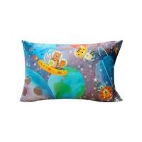 ราคา ปลอกหมอนหนุน EXOTICA 31XP MOON (1180429)