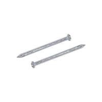 ราคา ตะปูคอนกรีตขาว DEXZON 2-1/2 นิ้ว แพ็ก 20 ชิ้น (1184639)