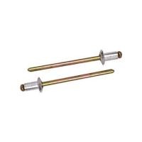 ราคา ตะปูยิงรีเวท DEXZON เบอร์ 4-2 1/8X1/4 นิ้ว แพ็ก 1000 ชิ้น (1184727)