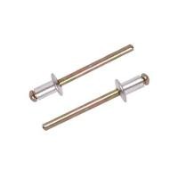 ราคา ตะปูยิงรีเวท DEXZON เบอร์ 6-2 3/16X5/16 นิ้ว แพ็ก 100 ชิ้น (1184788)