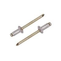 ราคา ตะปูยิงรีเวท DEXZON เบอร์ 6-3 3/16X3/8 นิ้ว แพ็ก 100 ชิ้น (1184826)