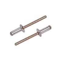 ราคา ตะปูยิงรีเวท DEXZON เบอร์ 6-5 3/16X1/2 นิ้ว แพ็ก 100 ชิ้น (1184834)