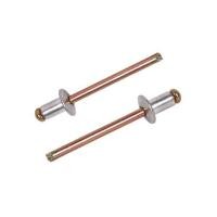 ราคา ตะปูยิงรีเวท DEXZON เบอร์ 5-2 5/32X1/4 นิ้ว แพ็ก 100 ชิ้น (1184842)