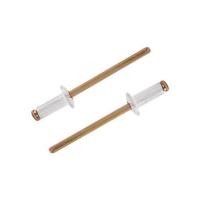 ราคา ตะปูยิงรีเวท DEXZON เบอร์ 5-4 5/32X3/8 นิ้ว แพ็ก 100 ชิ้น (1184932)