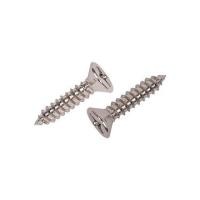 ราคา สกรูเกลียวปล่อย TF DEXZON 12X1 นิ้ว 30 ตัว (1185256)