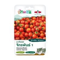 ราคา เมล็ดพันธุ์ มะเขือเทศผลกลม จักรพันธ์ 1 ศรแดง 50 เมล็ด (1188417)