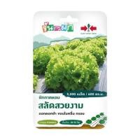 ราคา เมล็ดพันธุ์ ผักกาดหอม สลัดสวยงาม ศรแดง (1188482)