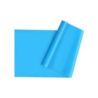 ราคา ยางยืดออกกำลังกาย TPE PRO-FIT สีฟ้า (1190139)