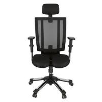 ราคา เก้าอี้สุขภาพ HARA CHAIR URUUS-2 สีดำ (1198638)