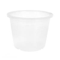 ราคา กระถางต้นไม้ SPRING 6 นิ้ว สีขาวใส แพ็ค 5 ใบ (1199076)