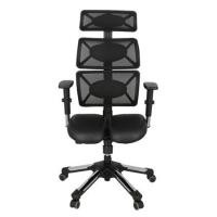 ราคา เก้าอี้เพื่อสุขภาพ HARA CHAIR DOCTOR-2 สีดำ (1199159)