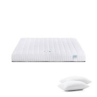 ราคา ที่นอน 5 ฟุต WOODFIELD W-NATURE I พร้อมหมอนหนุน 2 ชิ้น (1201193)