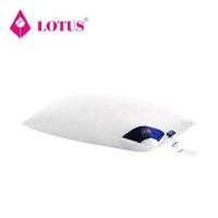 ราคา หมอนหนุน LOTUS MICRODOWNIA SOFT 20X30 นิ้ว สีขาว (1207264)