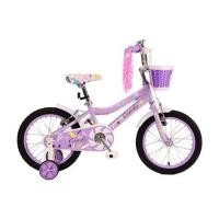 ราคา จักรยานเด็ก 16 นิ้ว JOY BICYCLE CANDY สีม่วง (1216424)