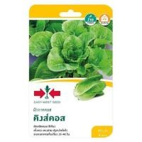ราคา เมล็ดพันธุ์ผักกาดคอส คิงส์คอส ศรแดง (1229568)