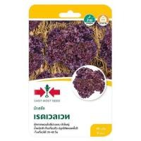 ราคา เมล็ดพันธุ์ผักสลัด เรดเวลเวท ศรแดง (1229580)