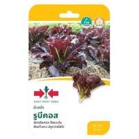 ราคา เมล็ดพันธุ์ผักสลัดรูบีคคอส ศรแดง (1229602)