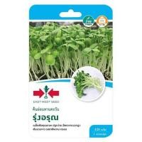 ราคา เมล็ดพันธุ์ต้นอ่อนทานตะวัน รุ่งอรุณ ศรแดง (1229612)