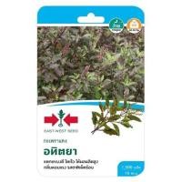 ราคา เมล็ดพันธุ์กะเพราแดง อทิตยา ศรแดง (1230321)